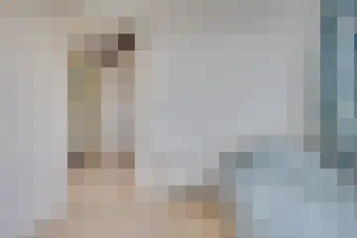 Duinroos 9 Leusden thumbnail 27