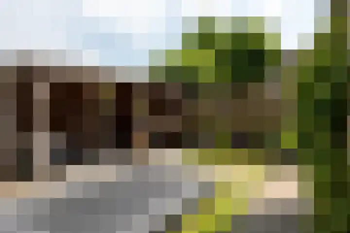 Duinroos 9 Leusden thumbnail 31