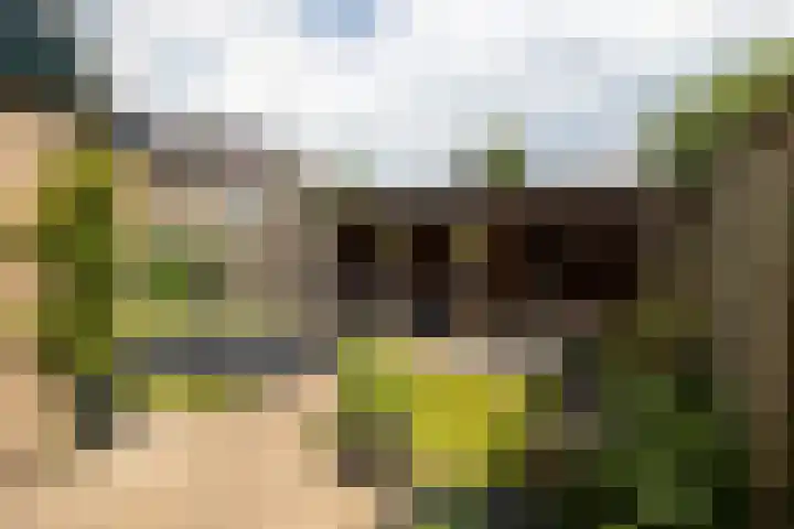 Duinroos 9 Leusden thumbnail 32