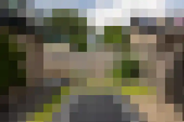 Duinroos 9 Leusden thumbnail 33