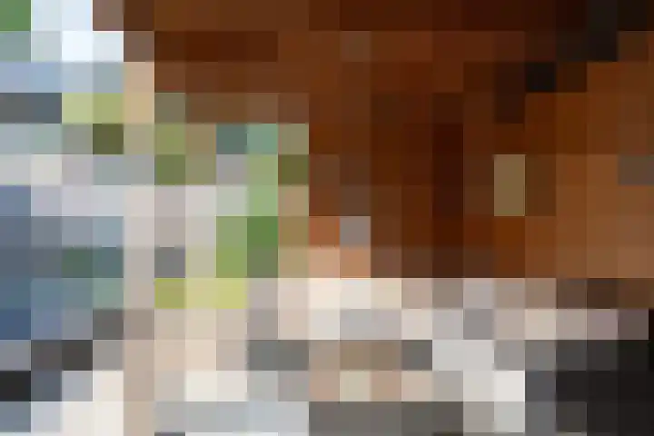 Duinroos 9 Leusden thumbnail 35