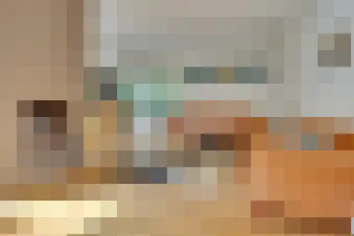 Duinroos 9 Leusden thumbnail 5