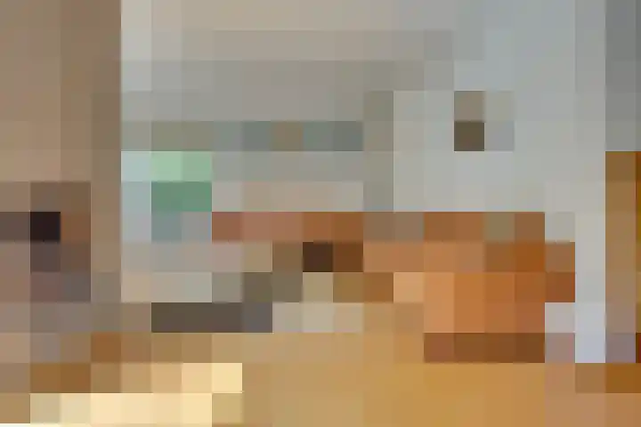 Duinroos 9 Leusden thumbnail 6