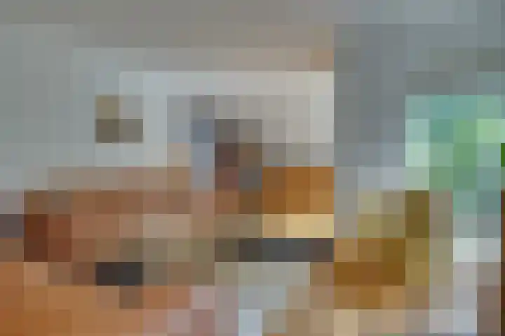Duinroos 9 Leusden thumbnail 7