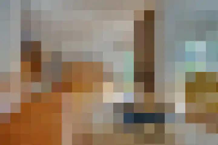 Duinroos 9 Leusden thumbnail 8