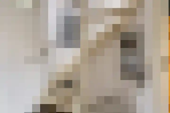 Duinrooshof 61 Heemskerk thumbnail 13