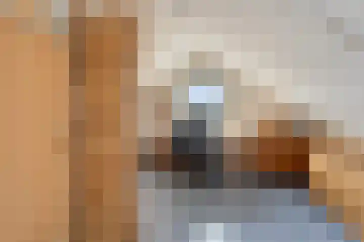 Duinrooshof 61 Heemskerk thumbnail 22