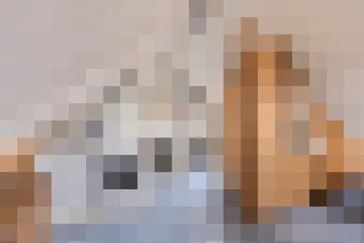Duinrooshof 61 Heemskerk thumbnail 23