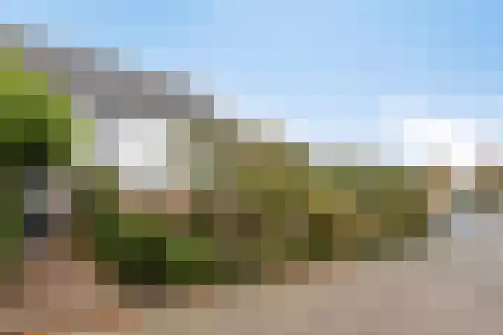 Duinrooshof 61 Heemskerk thumbnail 25