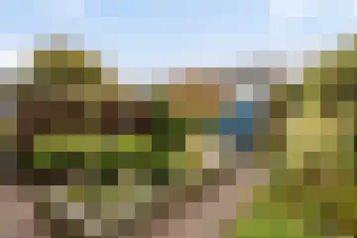 Duinrooshof 61 Heemskerk thumbnail 26