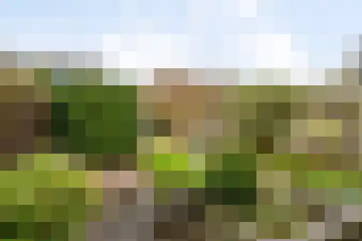 Duinrooshof 61 Heemskerk thumbnail 27