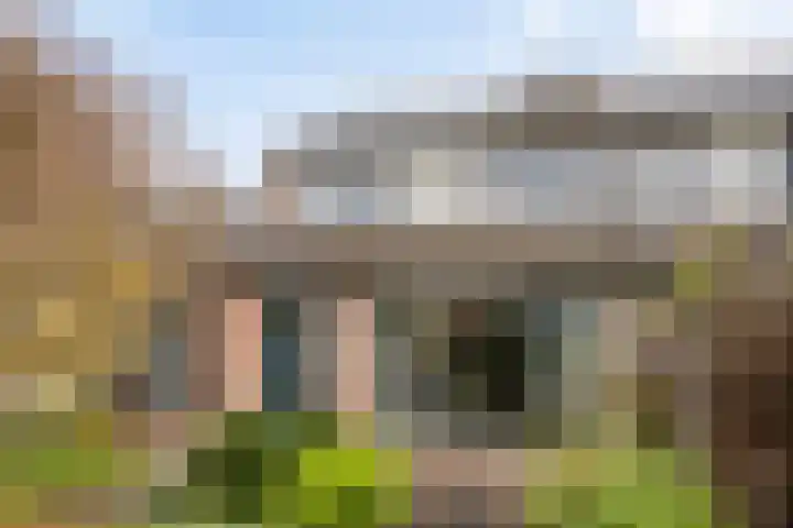 Duinrooshof 61 Heemskerk thumbnail 29
