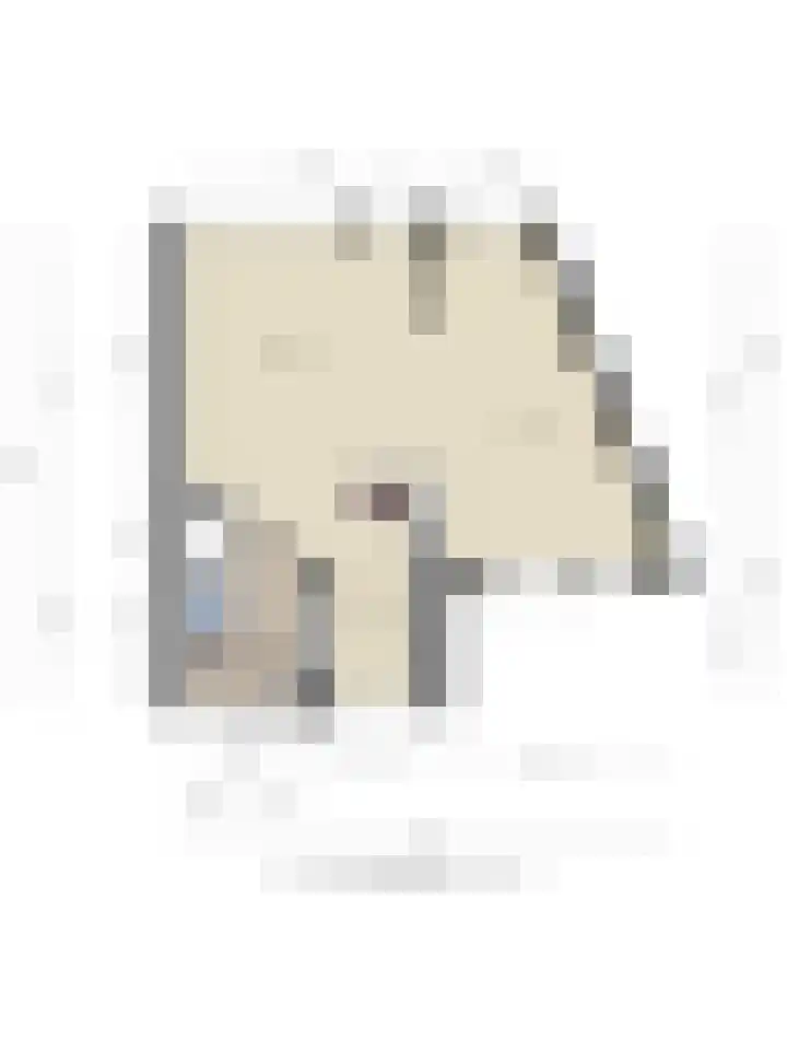 Duinrooshof 61 Heemskerk thumbnail 30