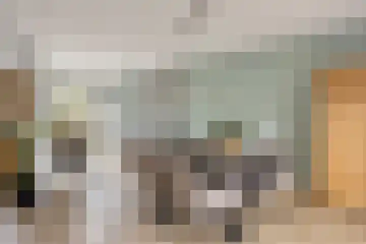 Duinrooshof 61 Heemskerk thumbnail 4