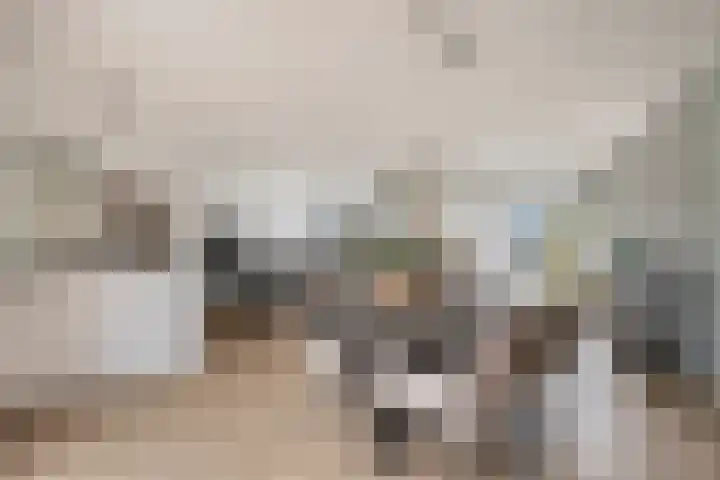 Duinrooshof 61 Heemskerk thumbnail 5