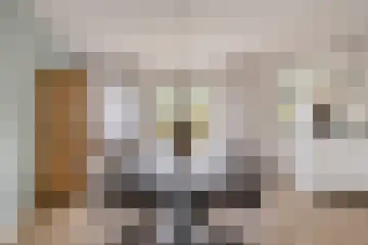 Duinrooshof 61 Heemskerk thumbnail 6