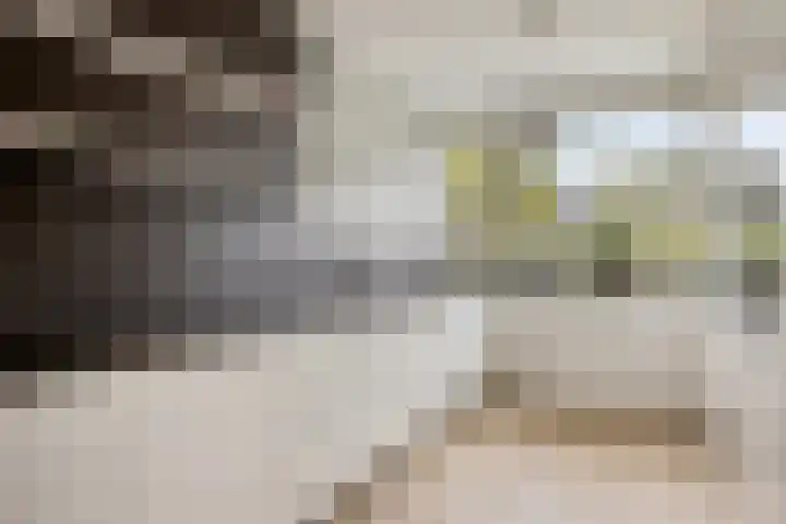 Duinrooshof 61 Heemskerk thumbnail 8