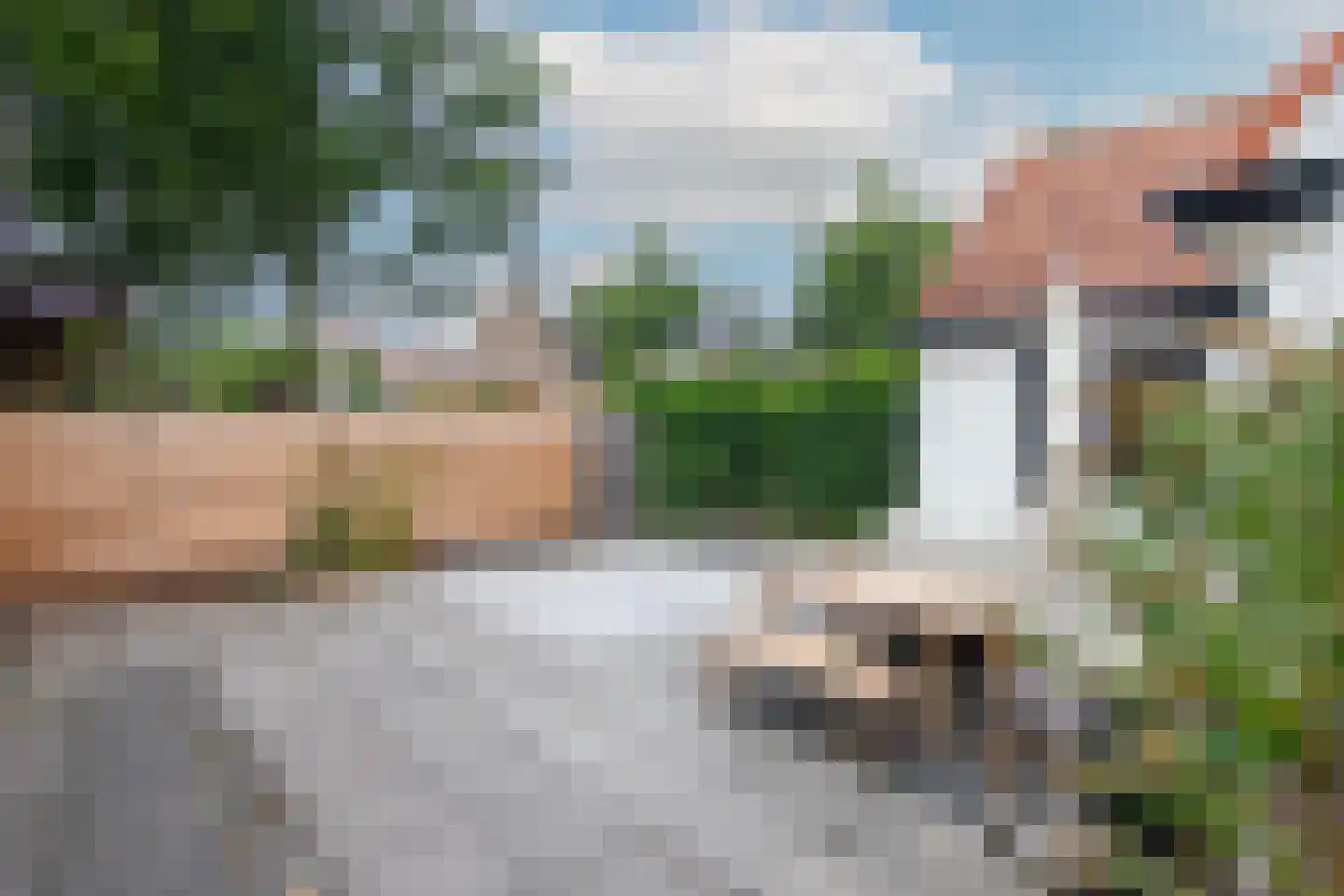 Duinroosplantsoen 6 Haarlem thumbnail 19