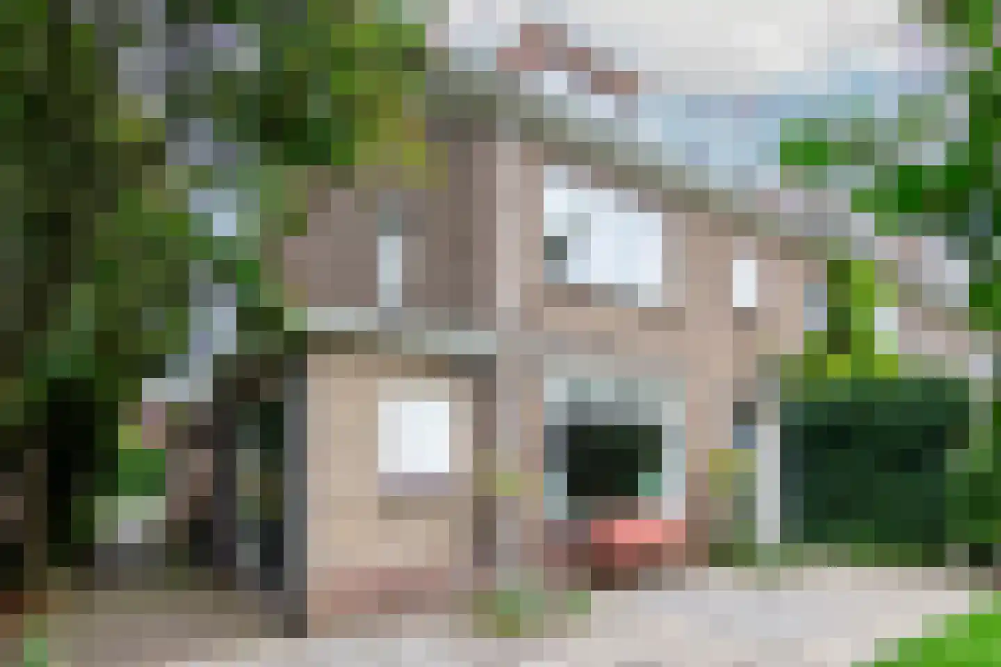 Duinroosplantsoen 6 Haarlem thumbnail 22