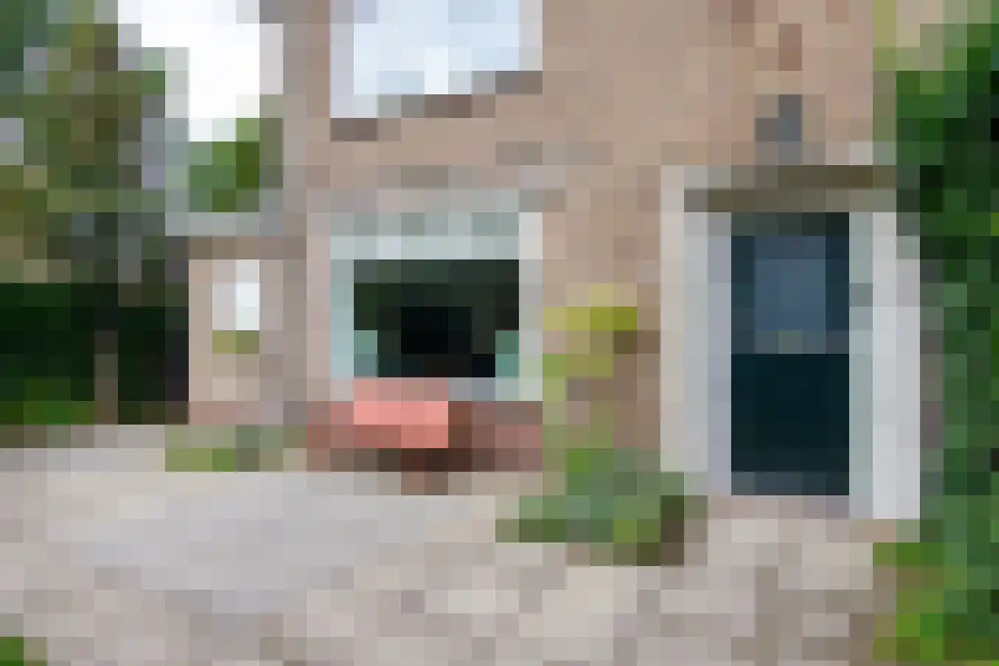 Duinroosplantsoen 6 Haarlem thumbnail 24