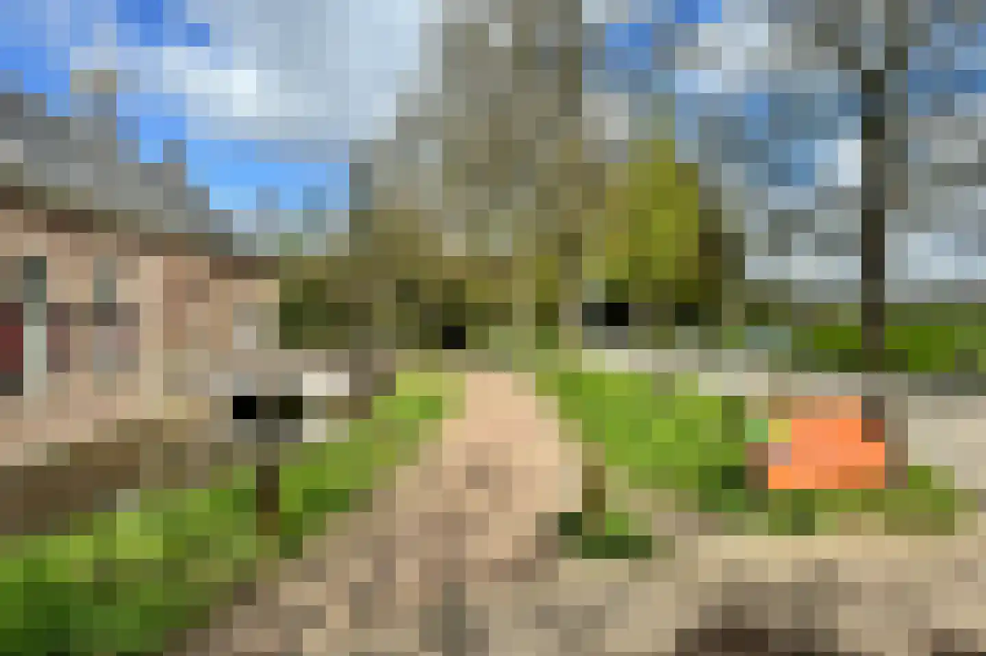 Duinroosplantsoen 6 Haarlem thumbnail 47