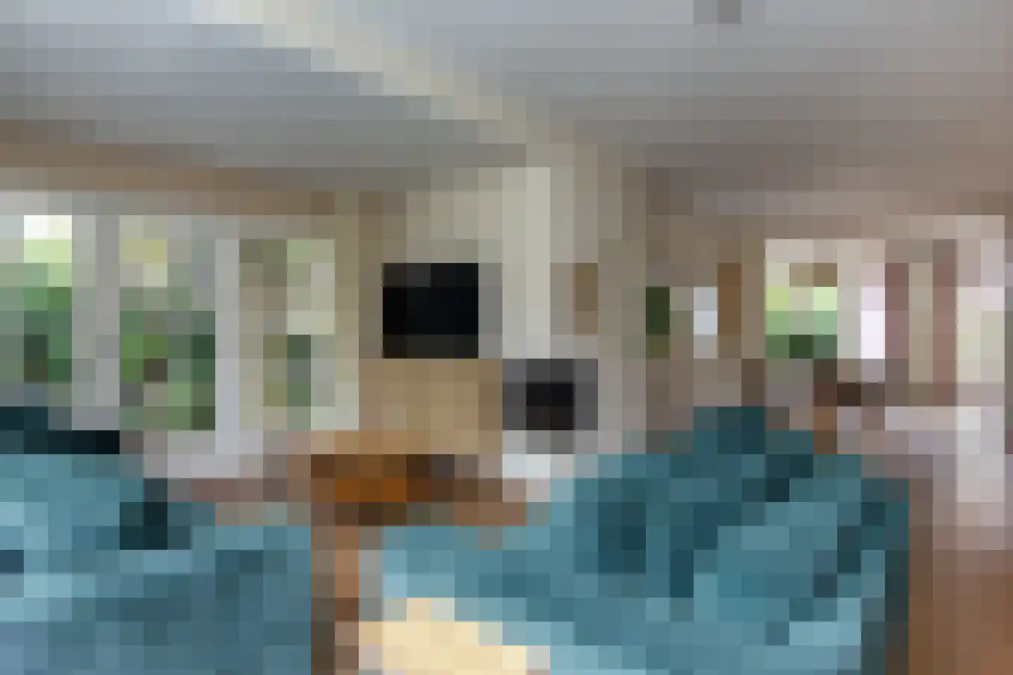 Duinroosplantsoen 6 Haarlem thumbnail 5
