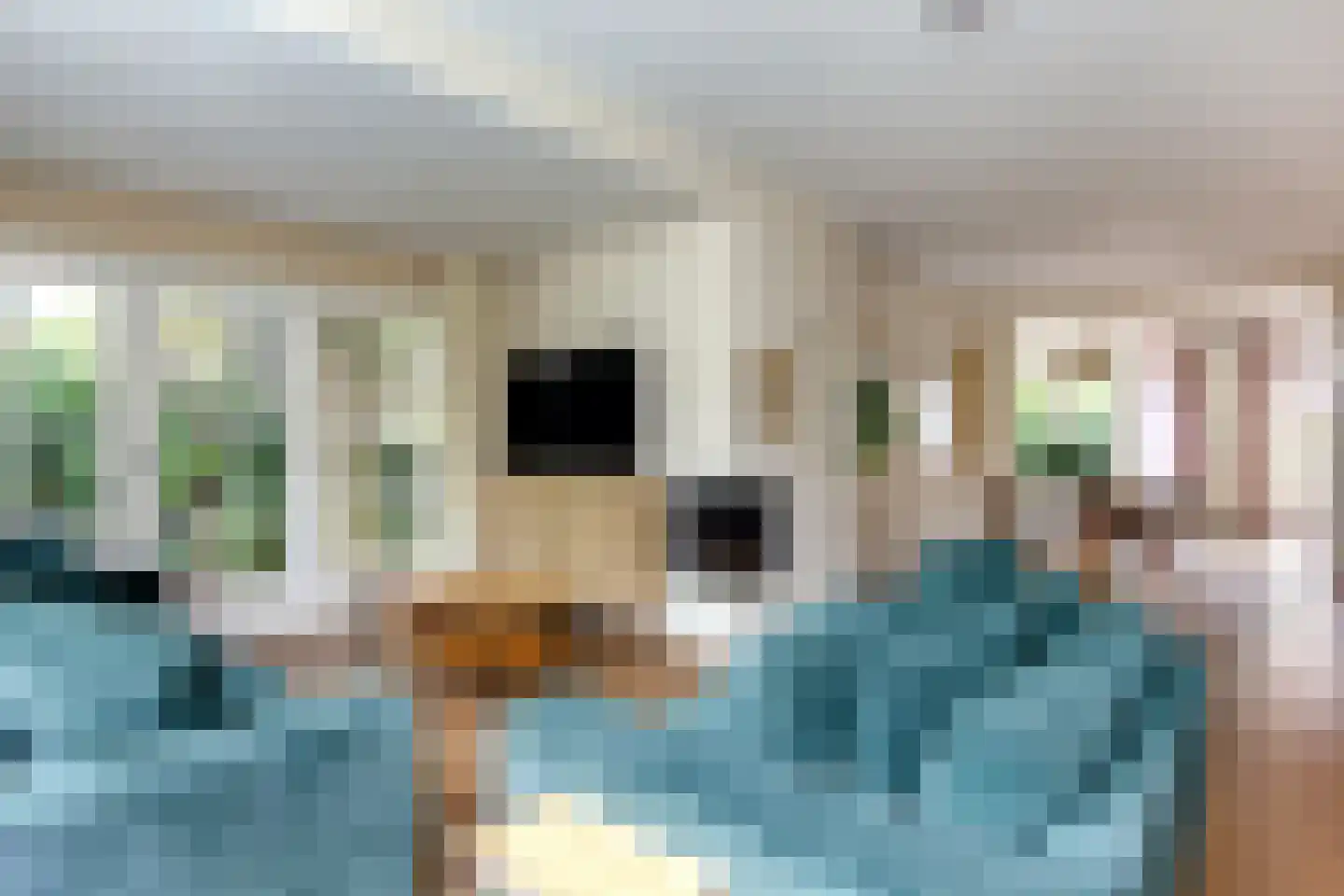 Duinroosplantsoen 6 Haarlem thumbnail 5