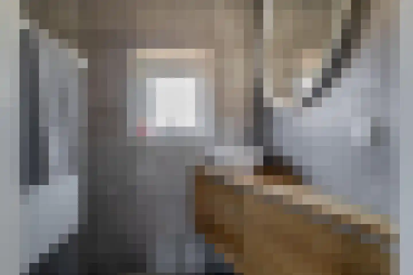 Duinroosstraat 128 Den Helder thumbnail 18