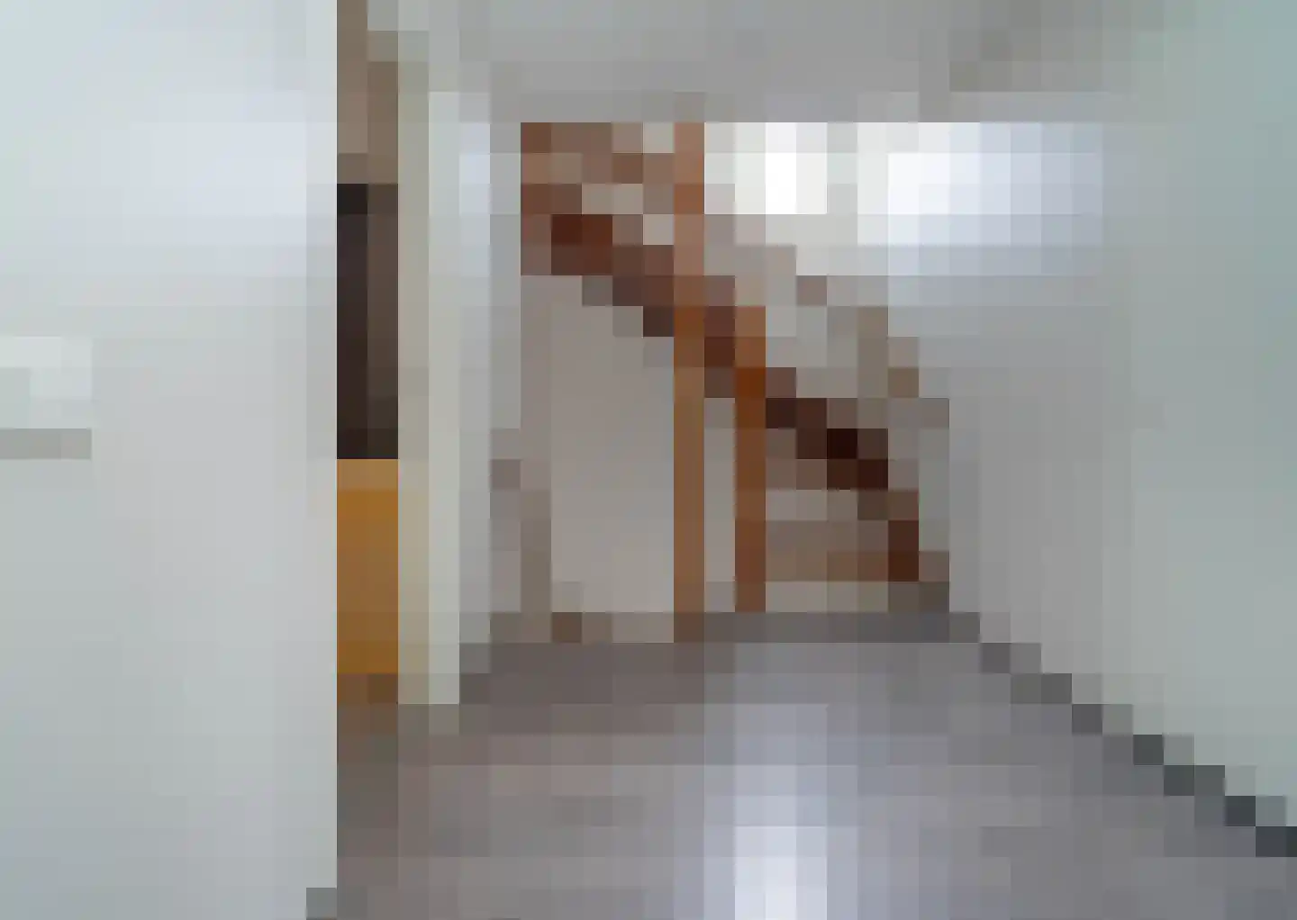 Duinroosstraat 2 Bakel thumbnail 24