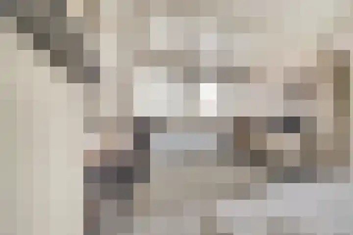 Duinroosstraat 2 Katwijk thumbnail 28