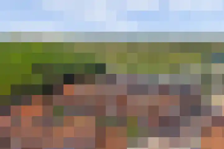 Duinroosstraat 2 Katwijk thumbnail 32