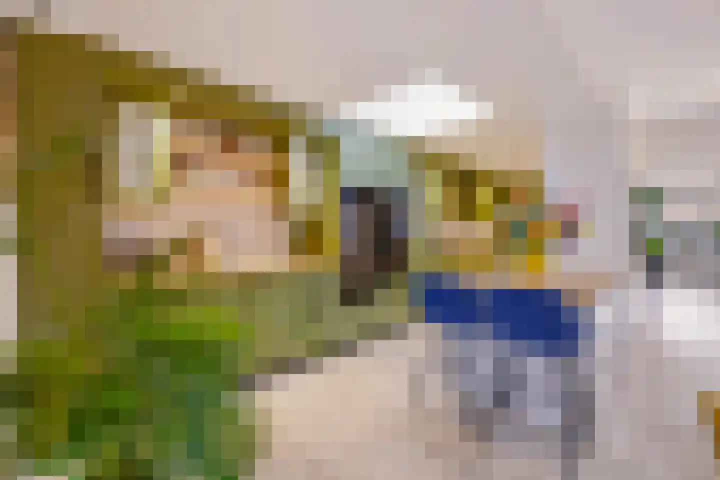 Duinroosstraat 21 De Koog thumbnail 12