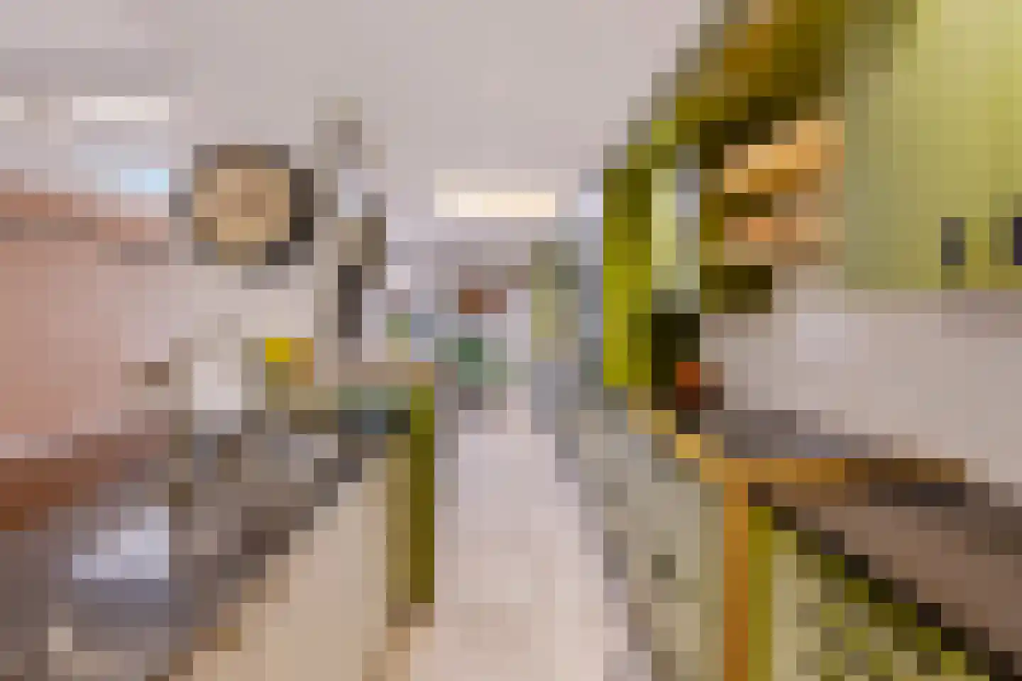Duinroosstraat 21 De Koog thumbnail 14