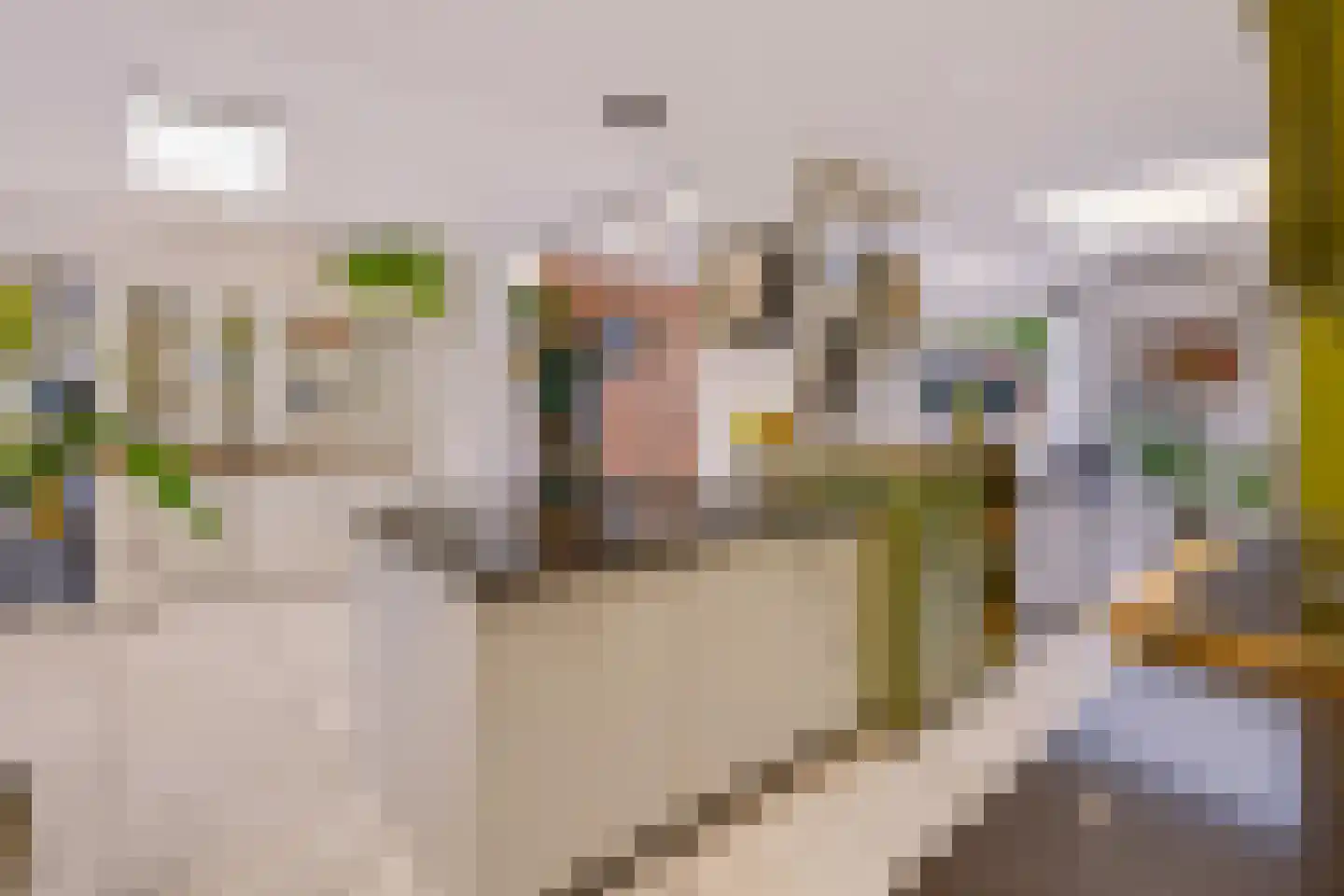 Duinroosstraat 21 De Koog thumbnail 15