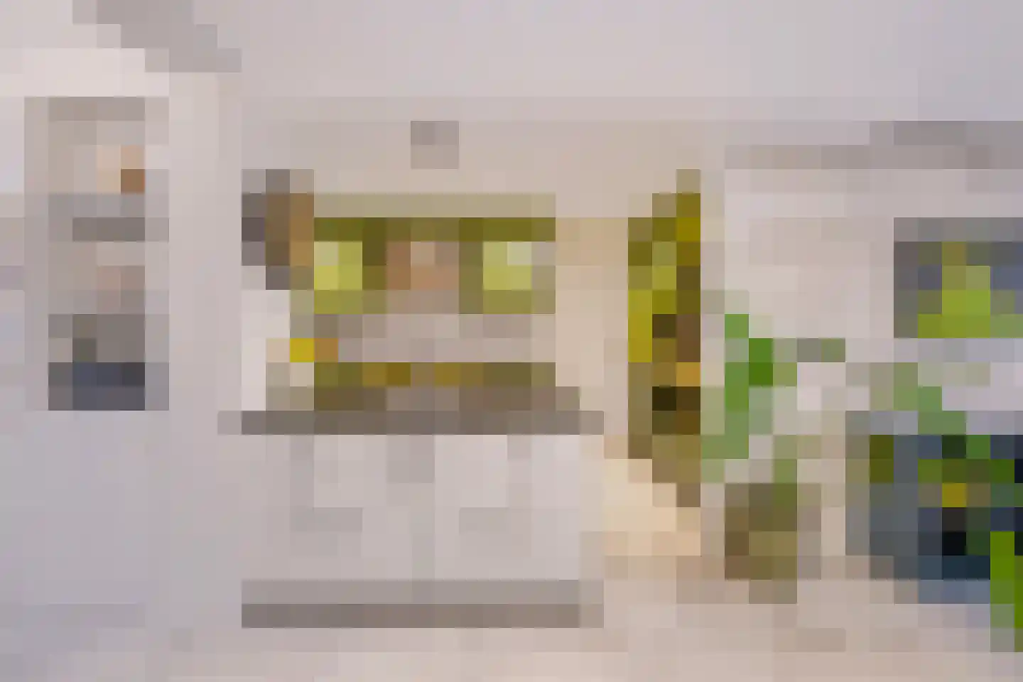 Duinroosstraat 21 De Koog thumbnail 17