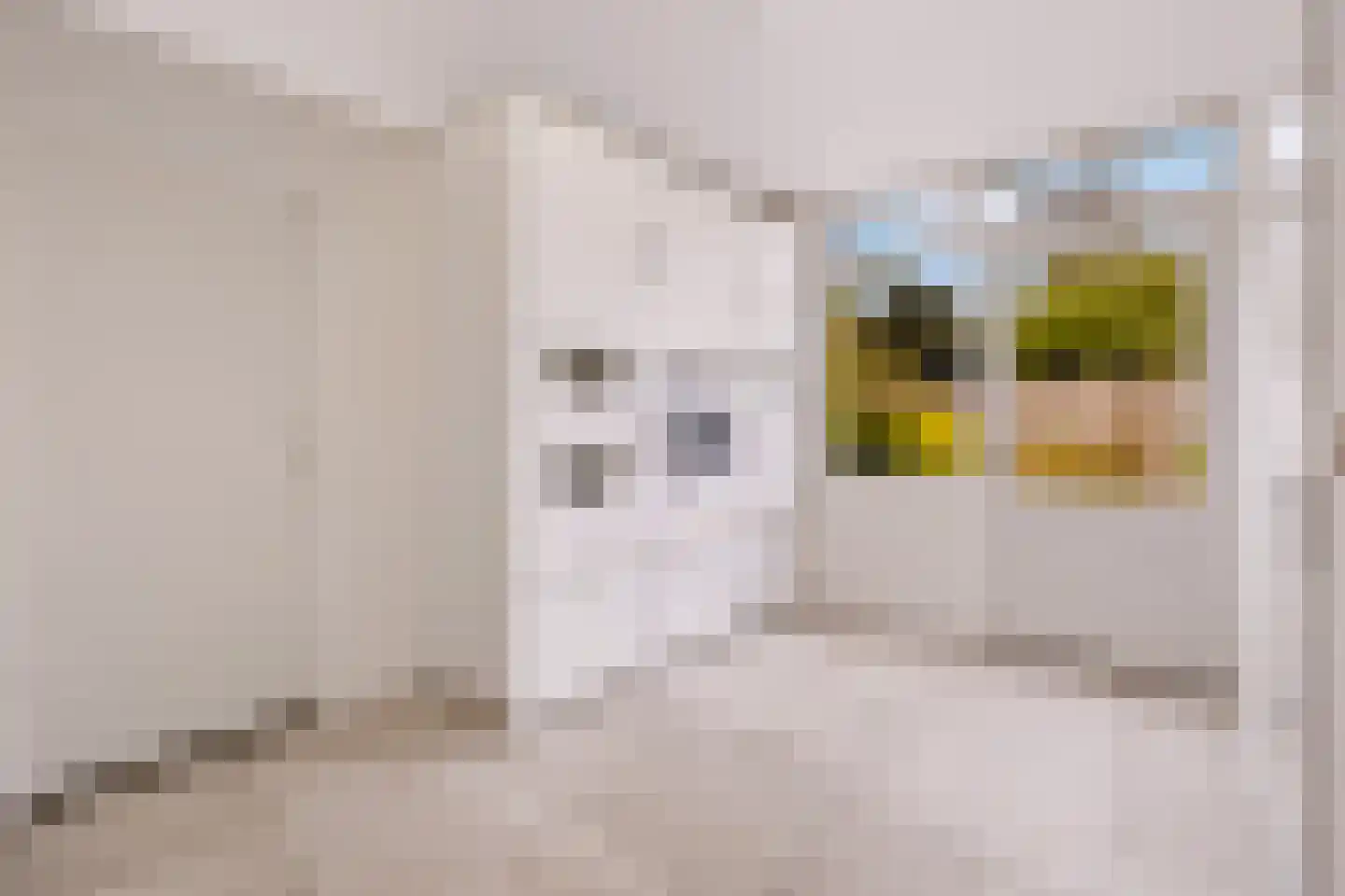 Duinroosstraat 21 De Koog thumbnail 25
