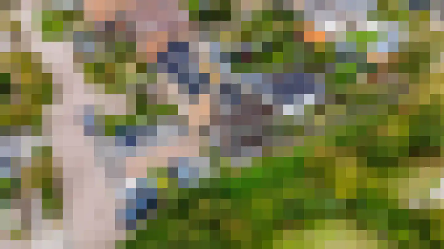 Duinroosstraat 21 De Koog thumbnail 4