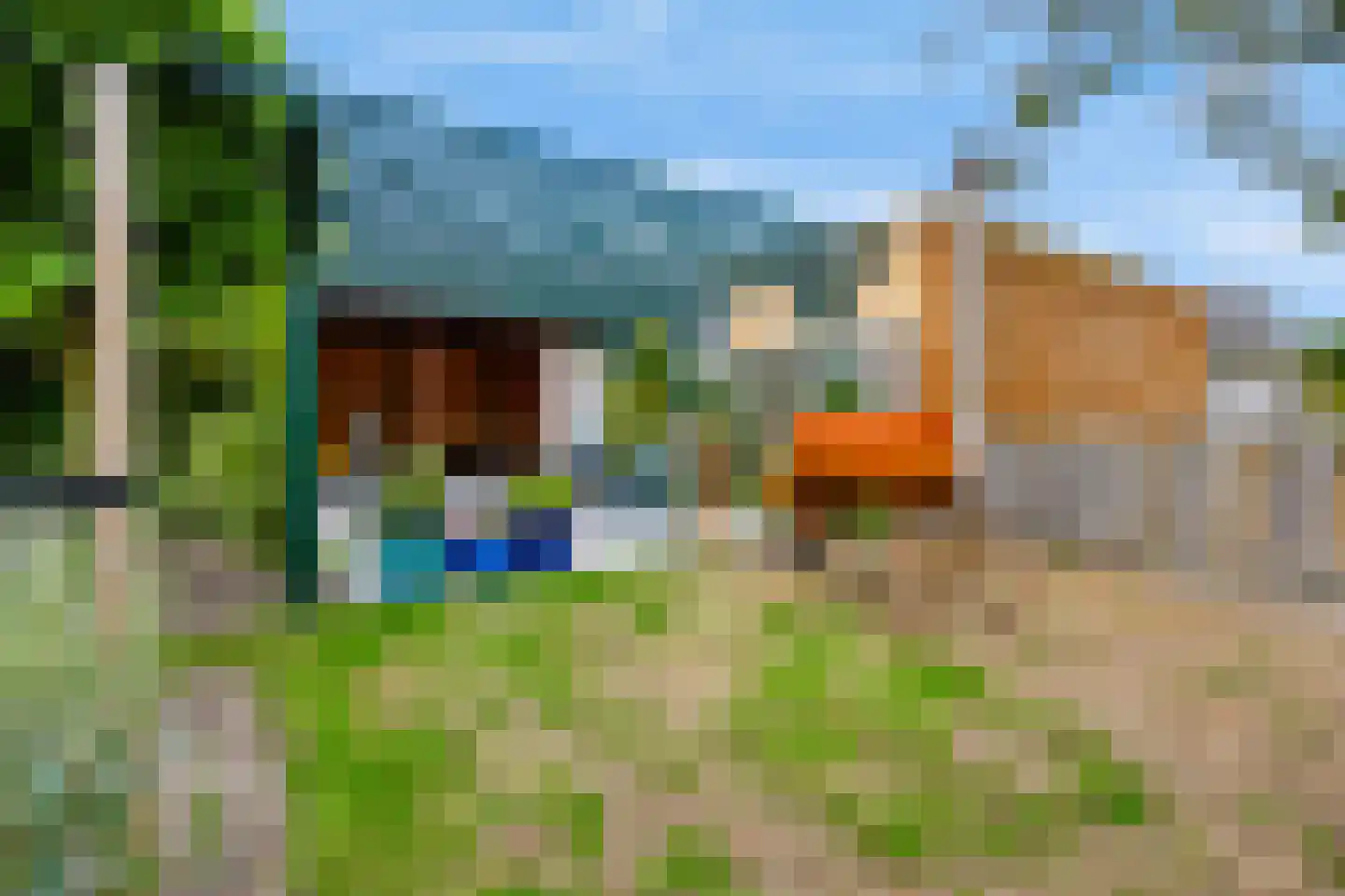 Duinroosstraat 21 De Koog thumbnail 44