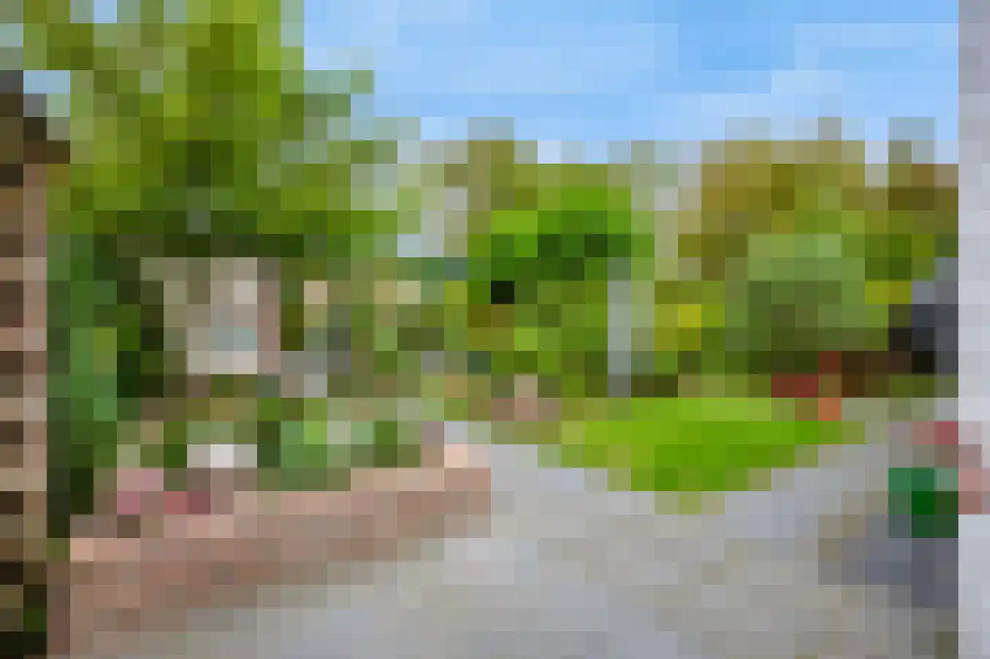 Duinroosstraat 21 De Koog thumbnail 48