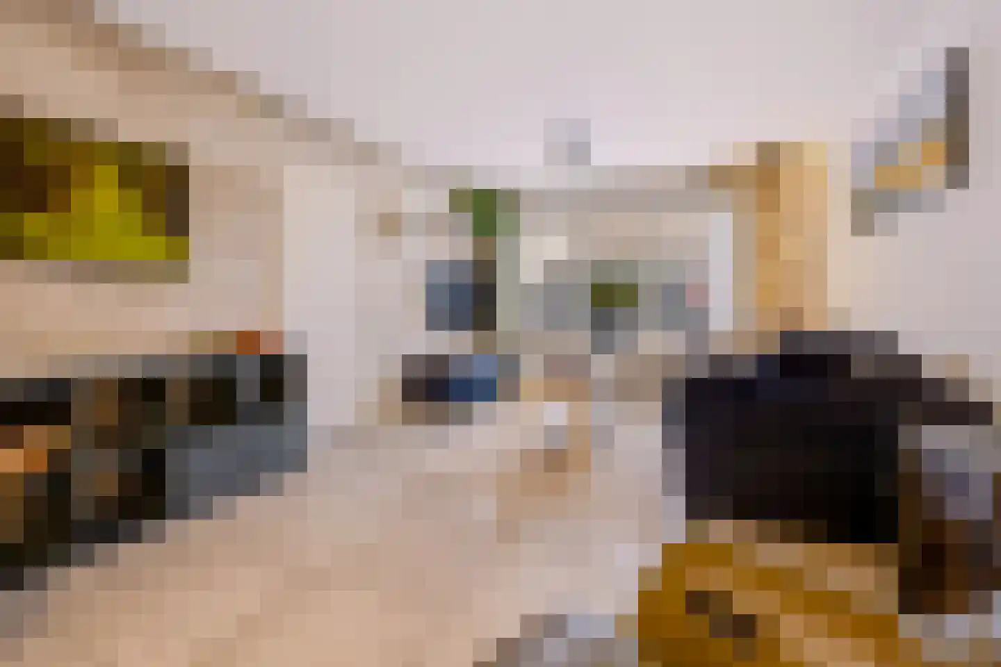 Duinroosstraat 21 De Koog thumbnail 8