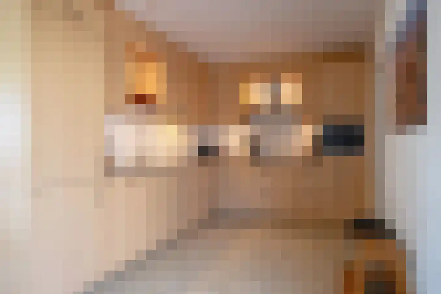 Duinroosstraat 3 De Koog thumbnail 10