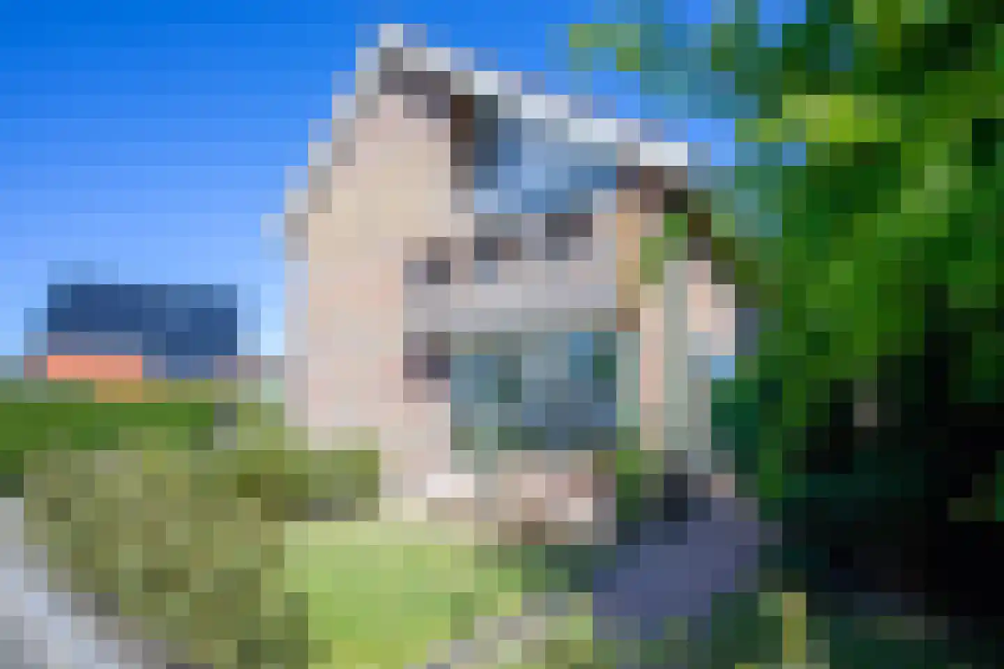 Duinroosstraat 3 De Koog thumbnail 55