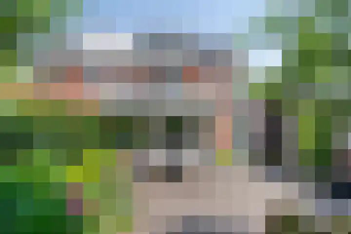 Duinroosstraat 34 Bakel thumbnail 32