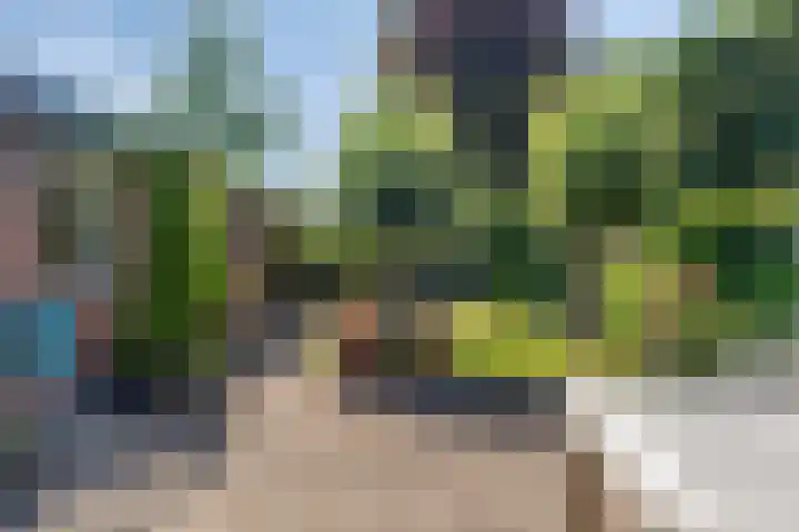 Duinroosstraat 34 Bakel thumbnail 34