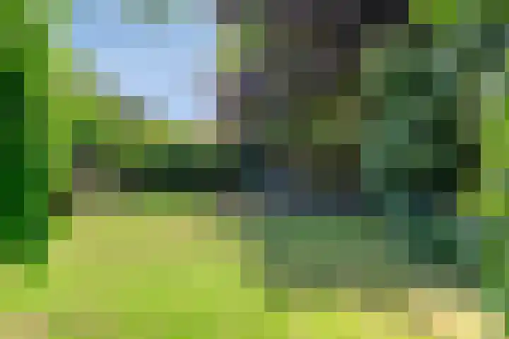 Duinroosstraat 34 Bakel thumbnail 36