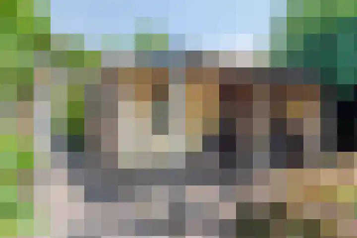 Duinroosstraat 34 Bakel thumbnail 37