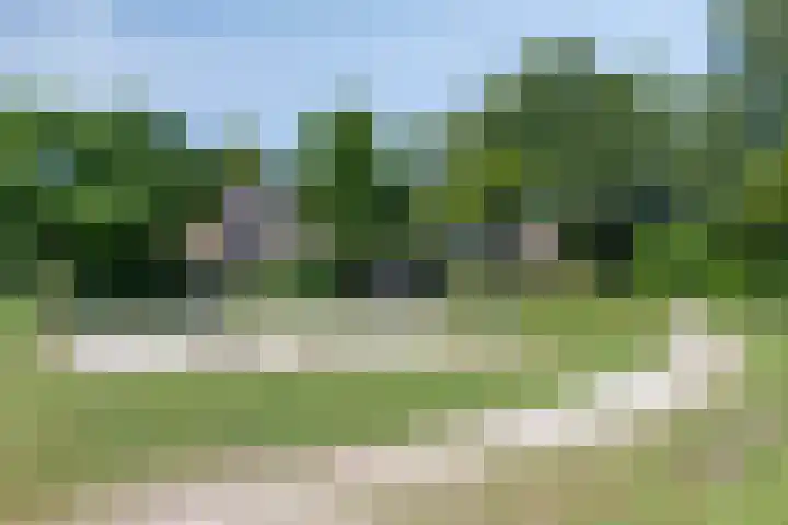 Duinroosstraat 34 Bakel thumbnail 39