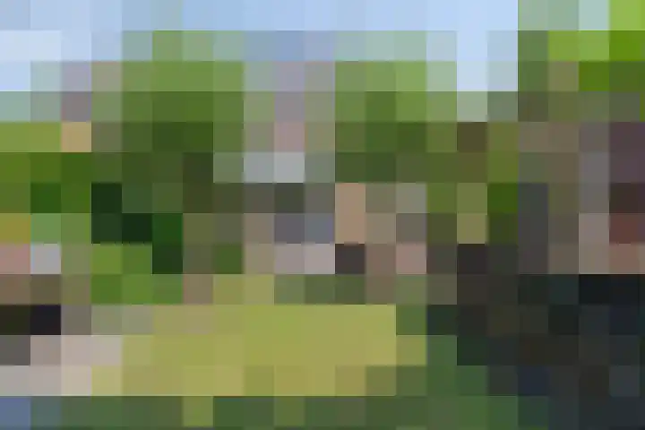 Duinroosstraat 34 Bakel thumbnail 4