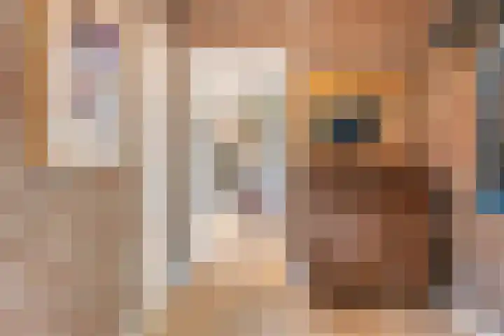 Duinroosstraat 34 Bakel thumbnail 7