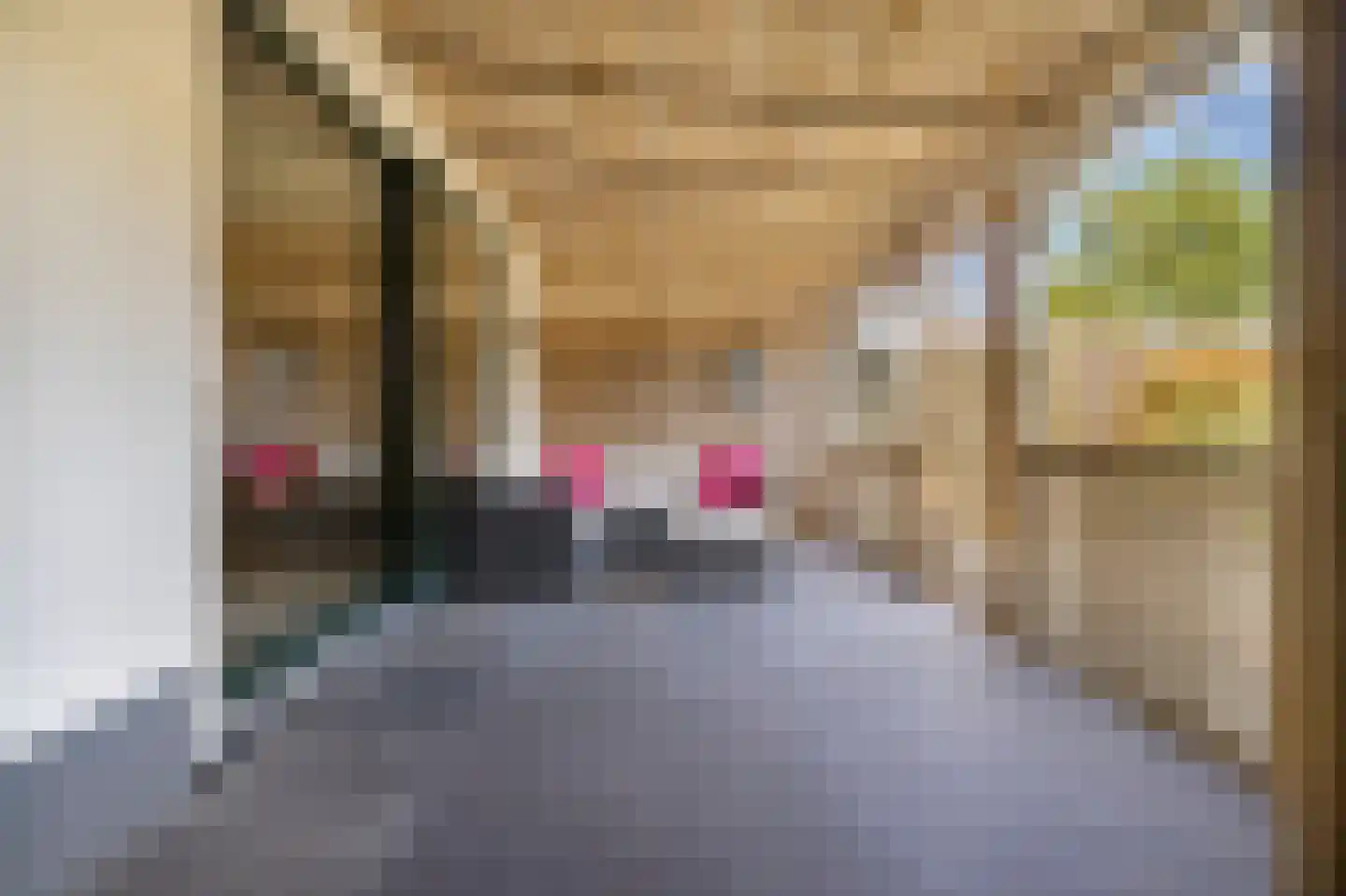 Duinroosstraat 37 Den Helder thumbnail 27